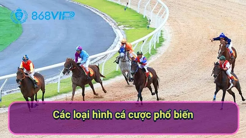cac-loai-hinh-ca-cuoc-pho-bien